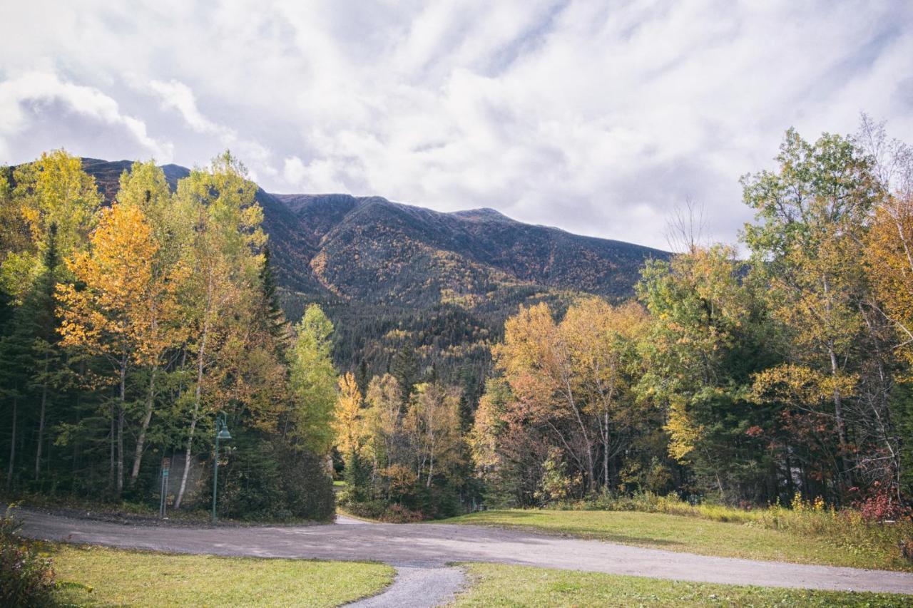 Gite Du Mont-Albert - Sepaq Sainte Anne des Monts Экстерьер фото